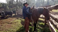 Le Grand Canyon : terre d'aventures