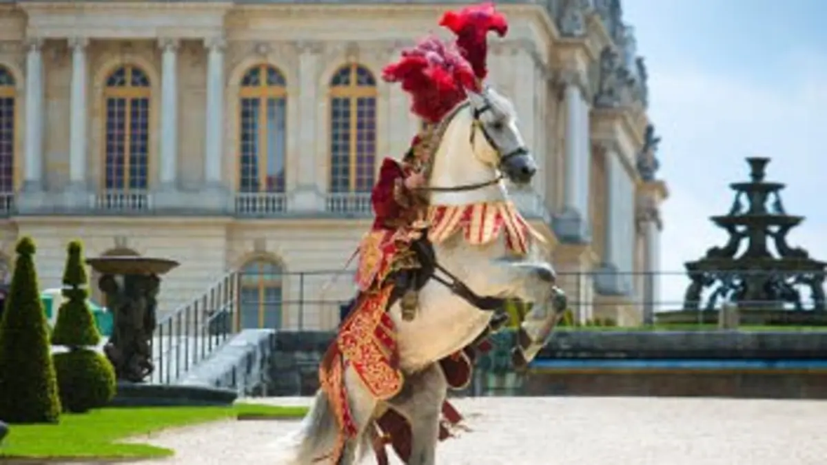 Le grand carrousel royal