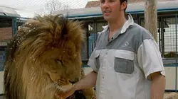 Visuel de Le grand chapiteau des animaux