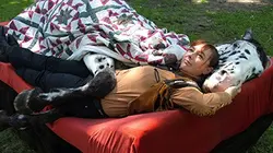 Visuel de Le grand chapiteau des animaux
