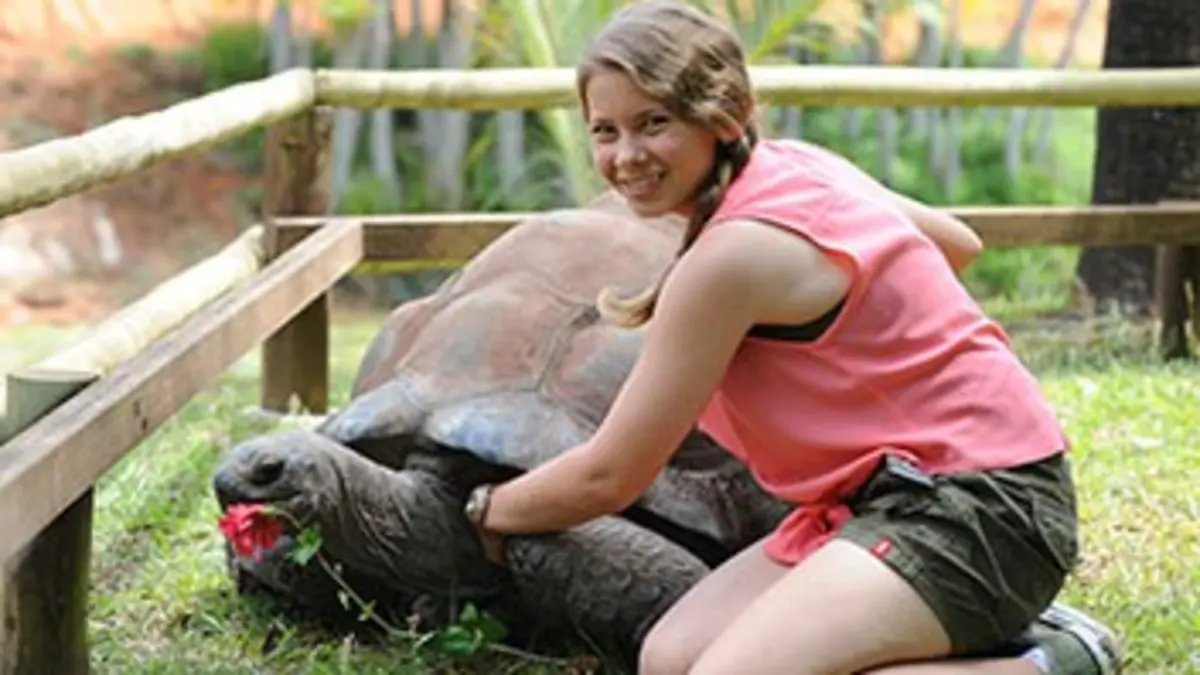 Le grand défi du zoo de Bindi