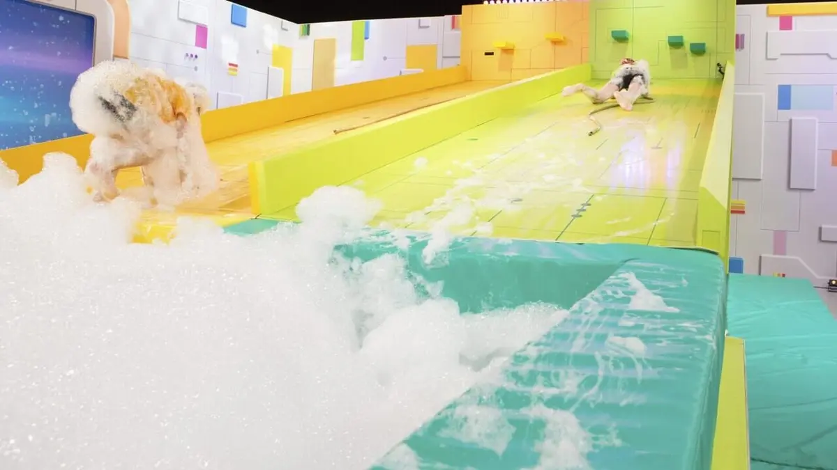 Le grand défitoon Xtrême S01E07 Tom / Toma