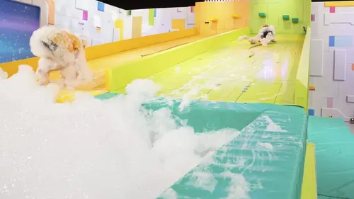 Le grand défitoon Xtrême S01E07 Tom / Toma