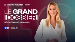 Visuel de Le grand dossier