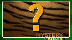 Le grand quiz des animaux