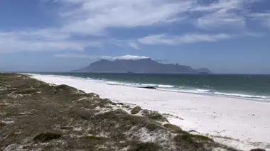 A la poursuite du coup de foudre