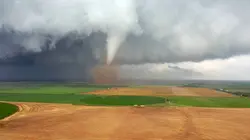 Le grand show de la nature