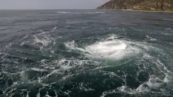 Le grand show de la nature