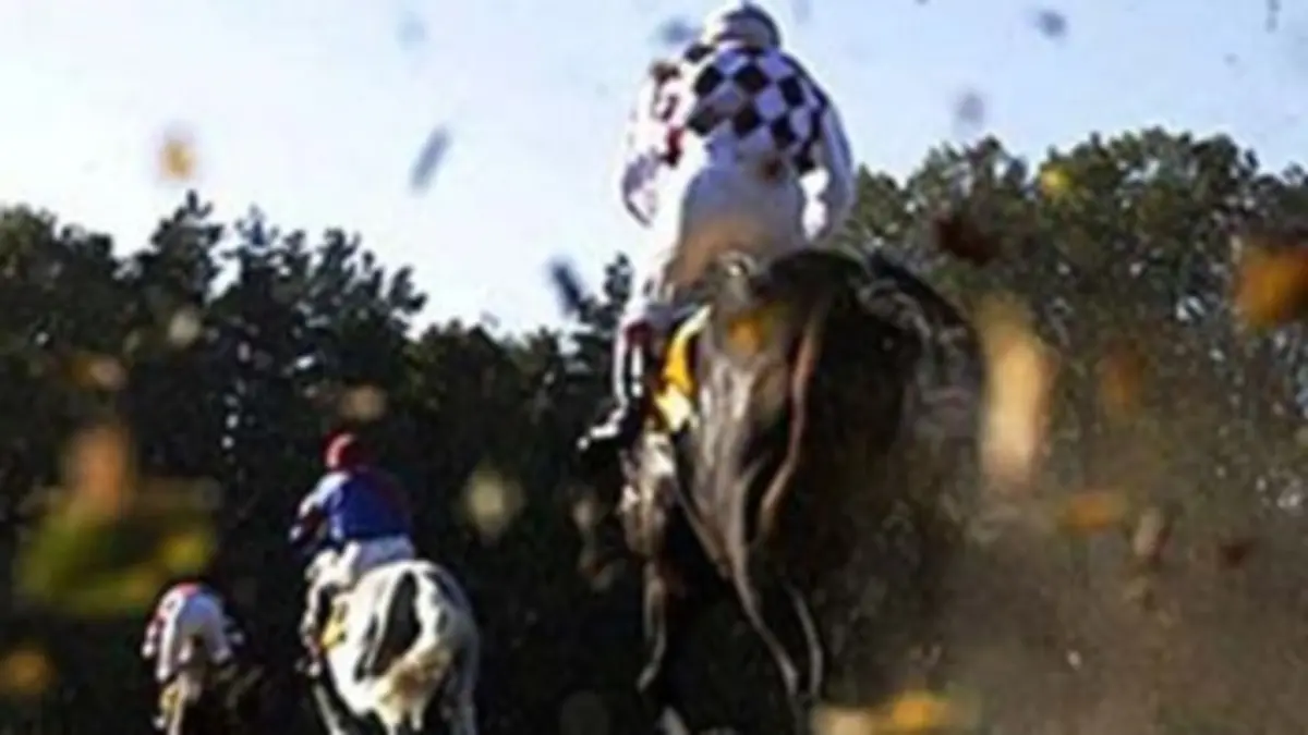 Le grand Steeple Chase de Pardubice