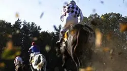 Visuel de Le grand Steeple Chase de Pardubice
