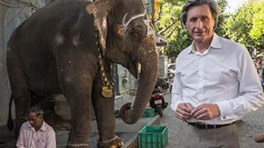 Saint-Louis du Sénégal, Canton, Pondichéry : l'héritage des comptoirs français