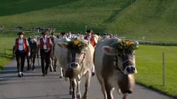 Le grand tour de Suisse