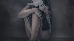 Le grand voyage du sapin de Noël