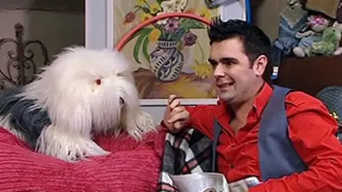 Le grenier de Fred & Samson L'invité de marque