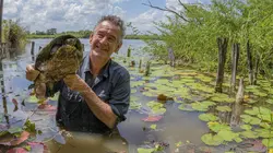 Le Guatemala, côté sauvage