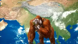 Le guide du froussard S02E07 Le yéti