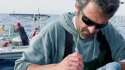 Visuel de Le Gulf Stream