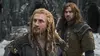 Dwalin dans Le Hobbit : la bataille des cinq armées (2014)
