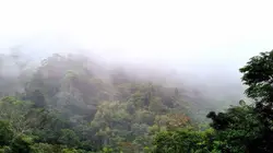 Le Honduras : entre forêt tropicale et plages