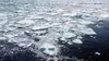 2023 • Le Japon sauvage : Les animaux du froid