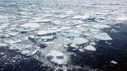 Visuel de Le Japon sauvage : Les animaux du froid