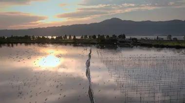 Le berceau des traditions