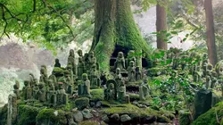 Le Japon vu du ciel S01E04 La terre des dieux