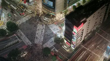 Le berceau des traditions