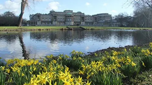 Le jardin de la reine