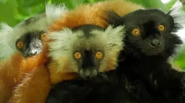 Yellowstone : de neiges et de fumées