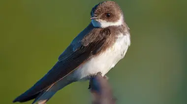 Le jardin extraordinaire