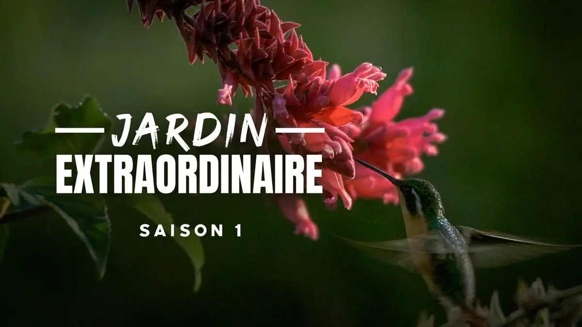 Le jardin extraordinaire Costa Rica, le royaume des colibris