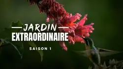 Visuel de Le jardin extraordinaire