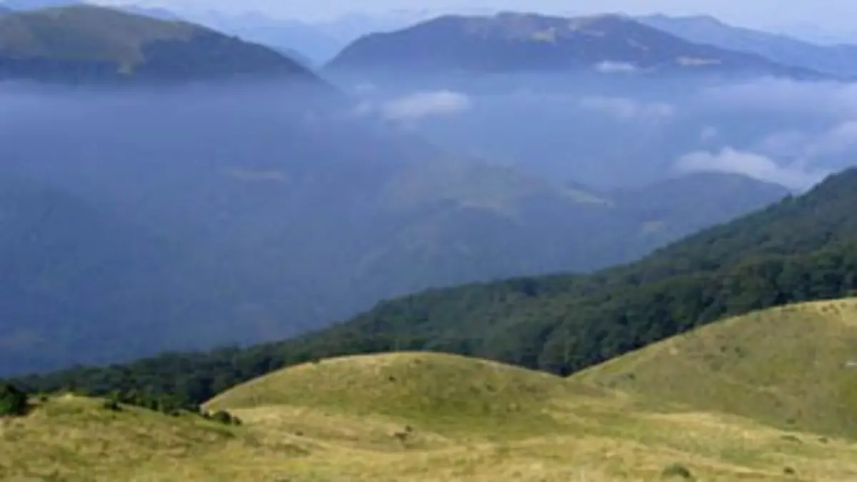 Le jardin extraordinaire Montagnes et Pyrénées