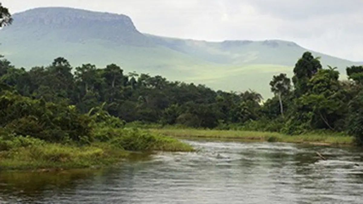 Le jardin extraordinaire Les mystères du fleuve Congo