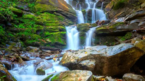 Le jardin extraordinaire Ethiopie enchantée