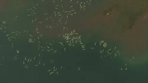 Le jardin extraordinaire Les Loutres