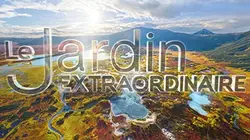 Le jardin extraordinaire L'intelligence des singes