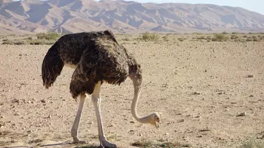 République Dominicaine : l'île merveilleuse !