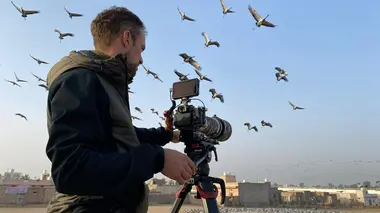 Inde, sur la piste du tigre