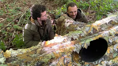 Notre jex : Les secrets du photographe animalier