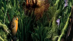 Le jardin secret