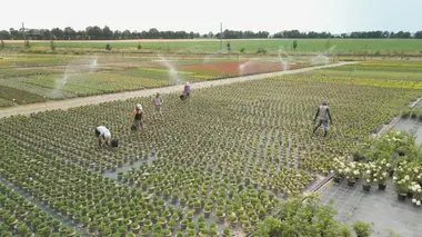 Le jardinage, ça ratisse large !
