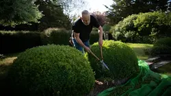 Visuel de Le jardinier, le bouddhiste et l'espion