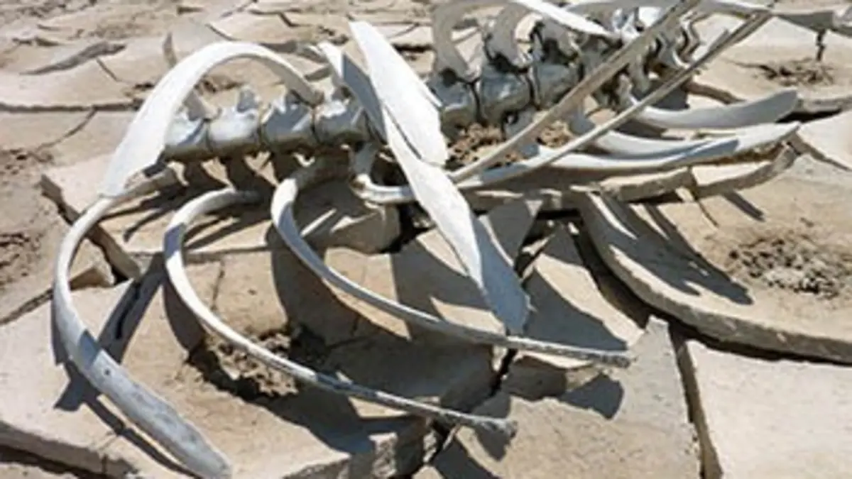 Le jour d'après Le Soleil s'éteint