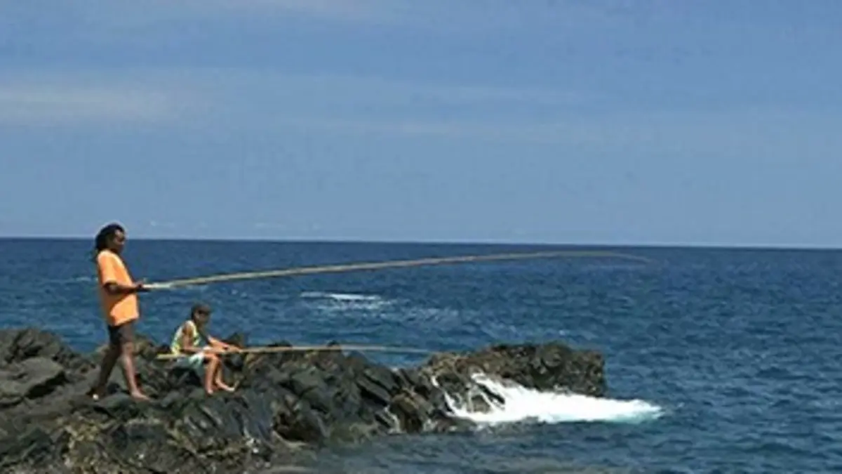 Le jour de la carangue