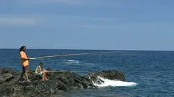 Visuel de Le jour de la carangue