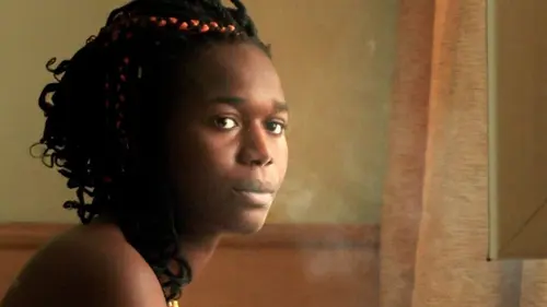 Le journal d'une femme nwar