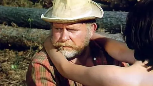 Casting Le journal érotique d'un bûcheron