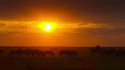 Le journal international de TV5MONDE